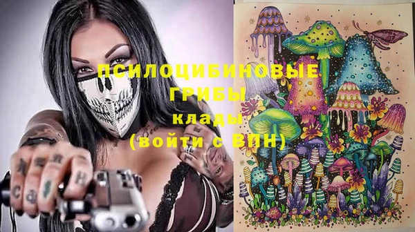 гашик Коряжма