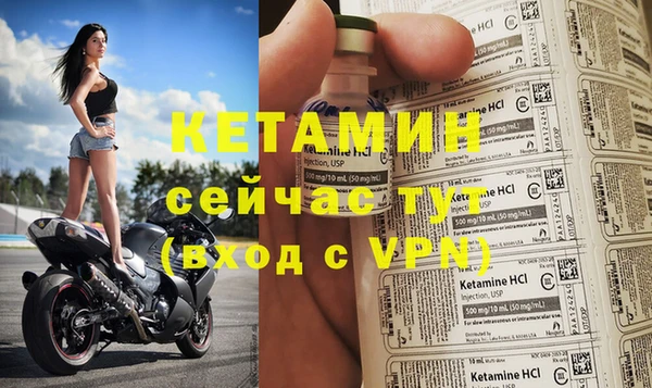 круглые Аркадак